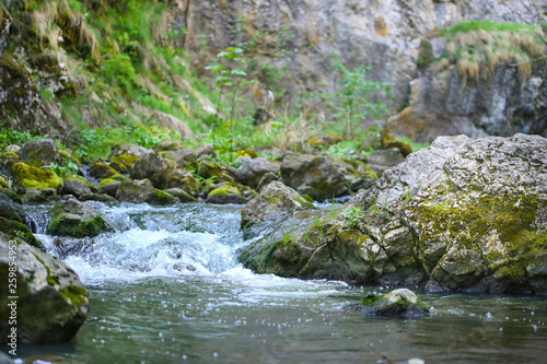 Stream in the forest in Cheile Turzii valley