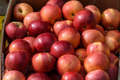 Group of fresh red apples available for sale at a street food market