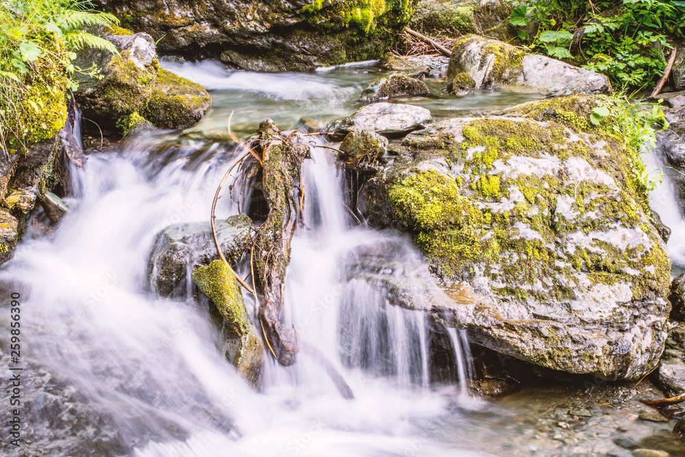 Obraz premium Forest stream running over rocks
