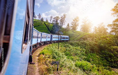 Travel to Sri Lanka, the blue train travels through tea plantations.