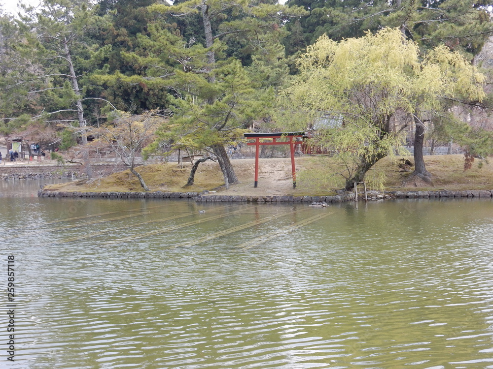 奈良公園　日本