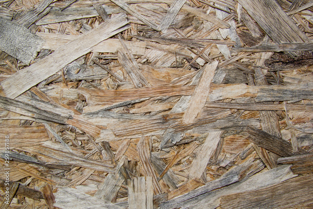 wood plywood texture