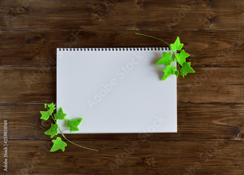 sketchbook with handmade used felt, Ivy  on wooden background(111-1)
