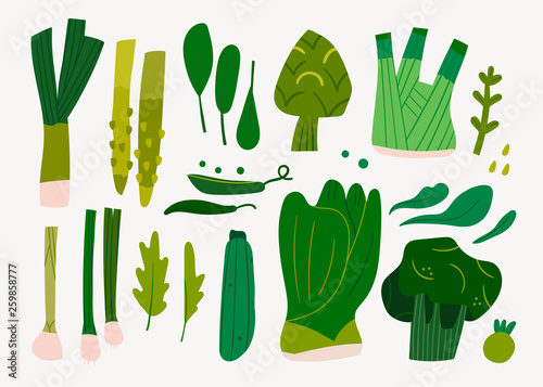 Various tasty healthy green vegetables and leaves. Hand drawn vector set. Colored illustration in trendy style. Flat design. All elements are isolated