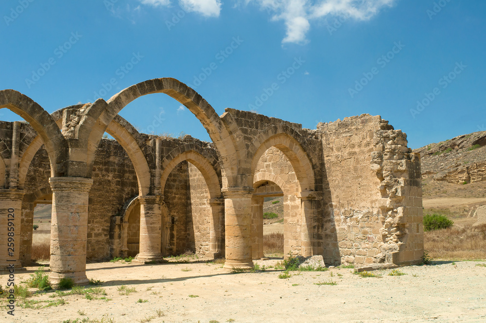 Ruins of the medieval royal palace of Luizinyan close up. Potamia, Cyprus