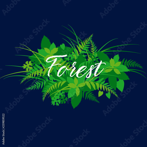 Forest foliage, leaves bann...