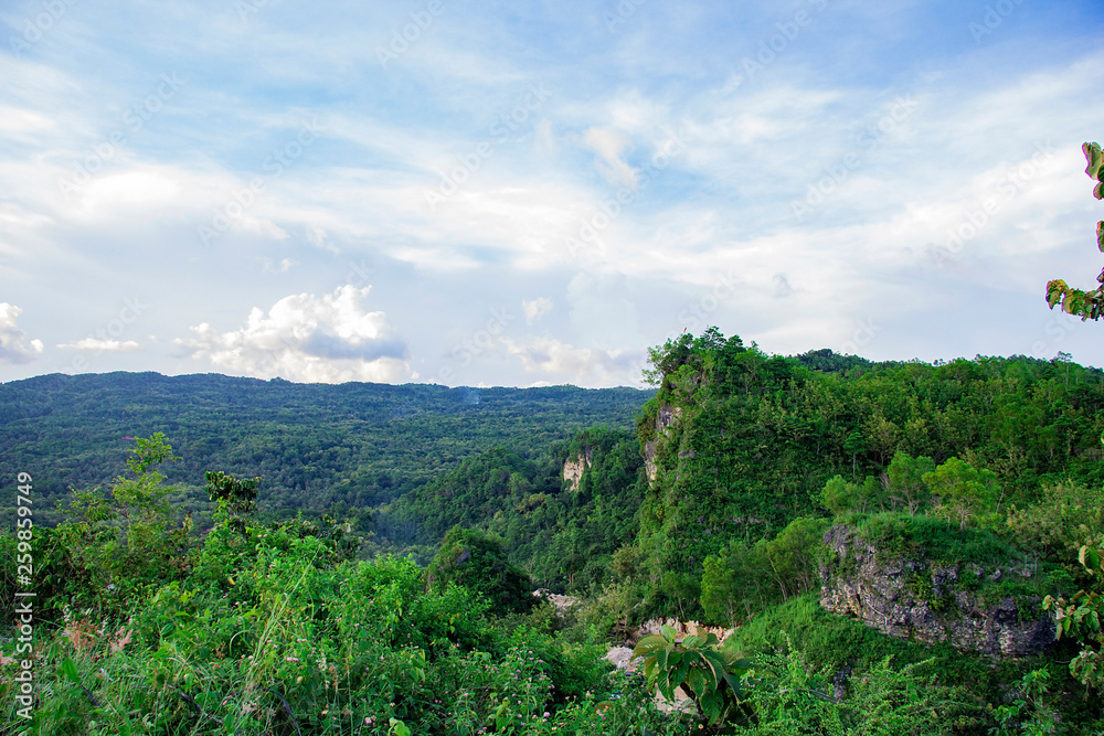 forest on bantul view from paragliding hill watugupit at yogyakarta
