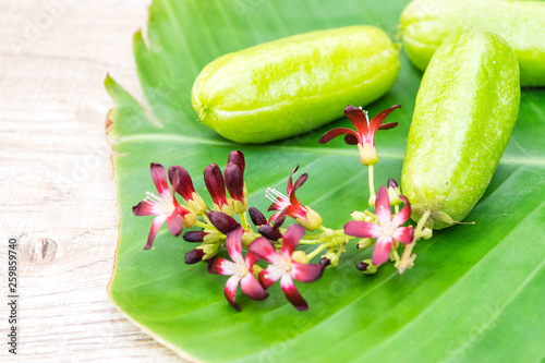 Averrhoa bilimbi fruit photo