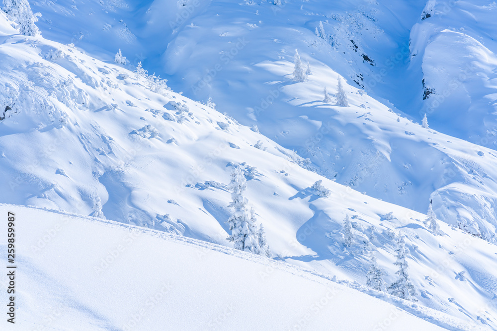Winter landscape with snow covered trees and Alps in Seefeld in the Austrian state of Tyrol. Winter in Austria