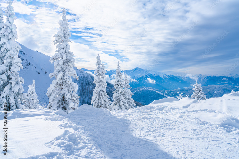Winter landscape with snow covered trees and Alps in Seefeld in the Austrian state of Tyrol. Winter in Austria
