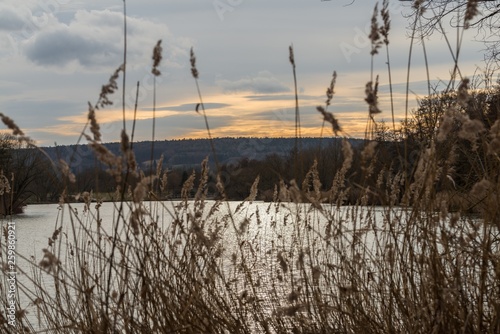 Ufer eines Sees w  hrend eines Winter Sonnenuntergangs mit einem Baustamm und Schilf  Deutschland