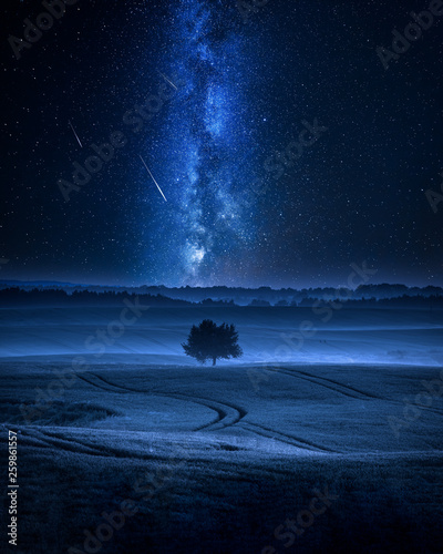 Milky way over filed with one tree in summer