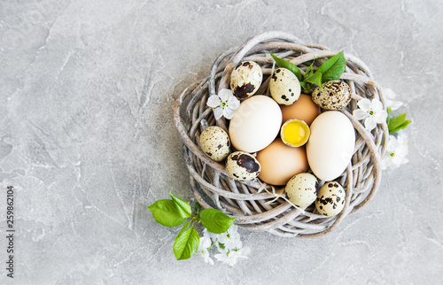 Nest with chicken and quail eggs photo