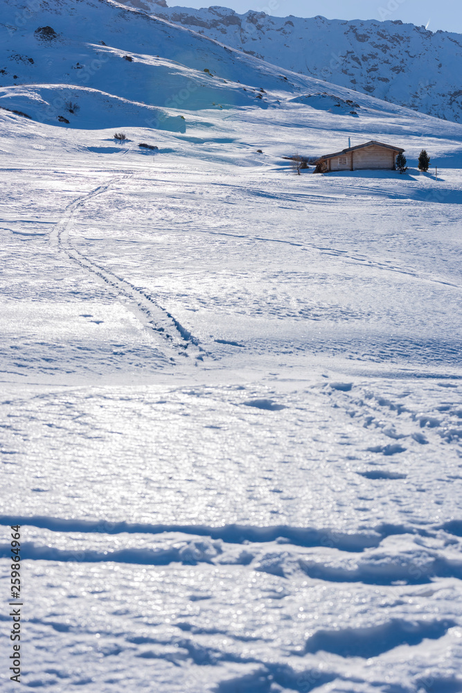 Obraz premium Dream atmosphere and views. Winter on the Alpe di Siusi, Dolomites. Italy
