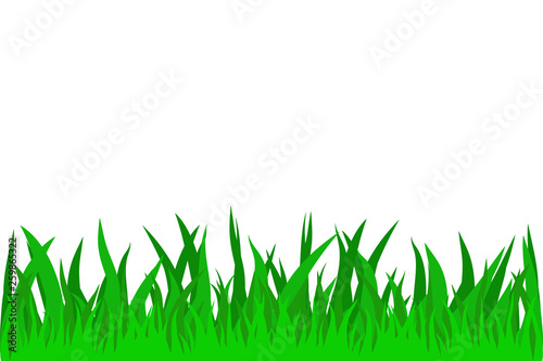 Green Meadow Grass isolated illustration on white background