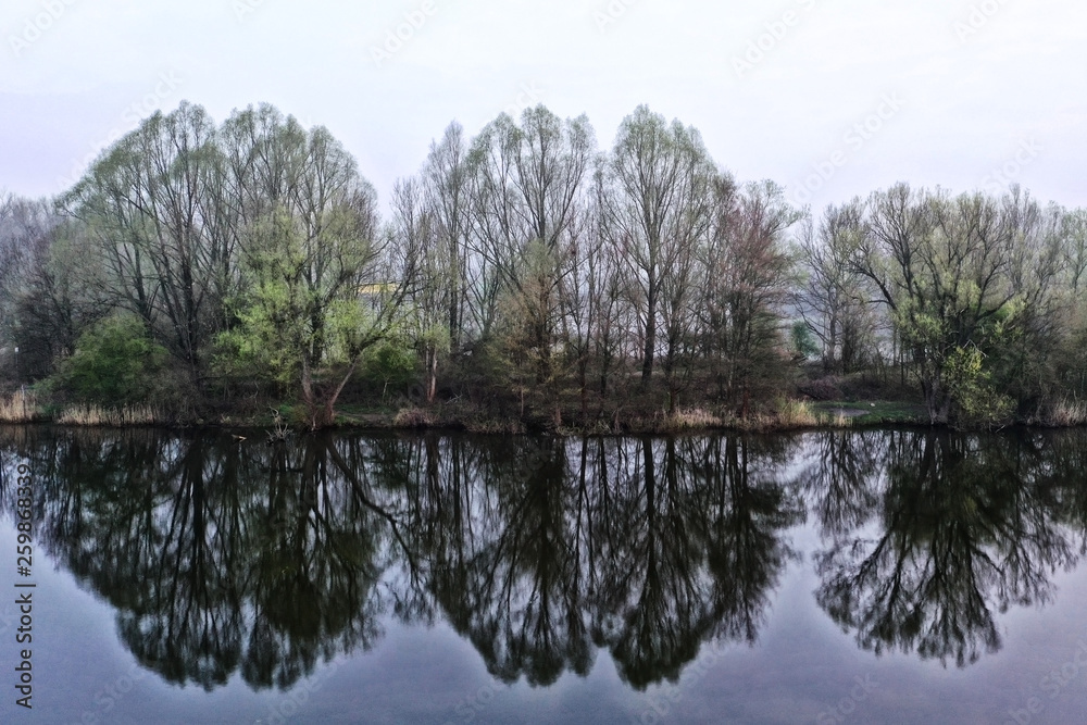 Bäume spiegeln sich im See bei Nebel Luftbildaufnahme