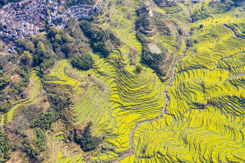 aerial view of beautiful spring on wuyuan huangling village