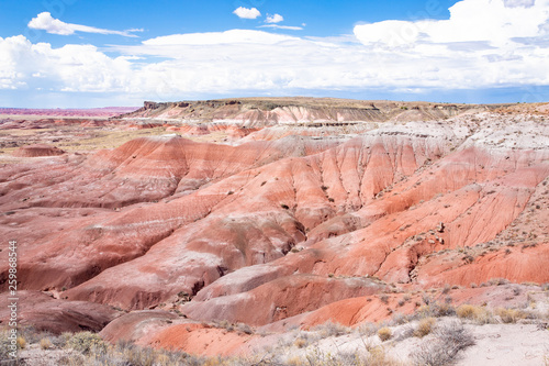 Painted Desert in Petrified Forest National Park  Arizona  USA