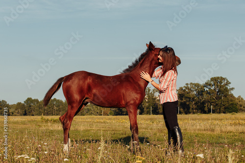 Young pretty woman hugs a foal in a field. Summer time.