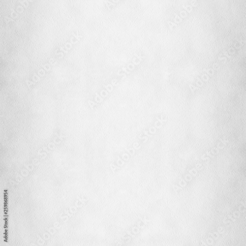 White Texture. Watercolor Paper Texture. White Background.