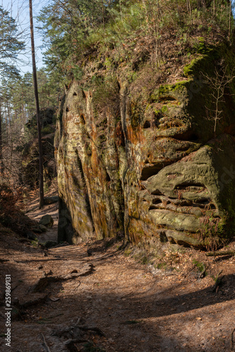 Marienfels bömische Schweiz photo