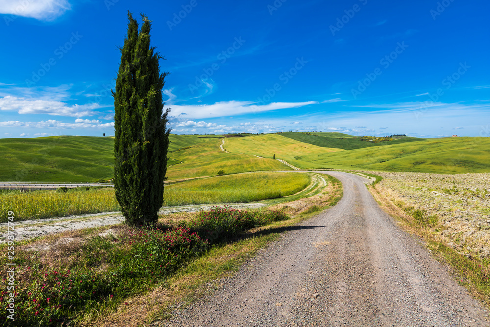 Tuscany road