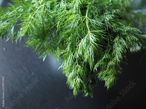 A bunch of green fresh dill on the table