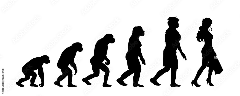 Theory of evolution of woman. Vector silhouette of homo sapiens. Symbol from monkey to shopping. Theory of evolution of woman. Vector silhouette of homo sapiens. Symbol from monkey to shopping.