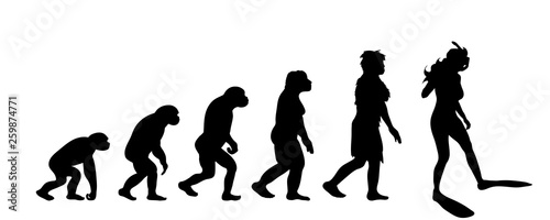 Theory of evolution of woman. Vector silhouette of homo sapiens. Symbol from monkey to diver.
