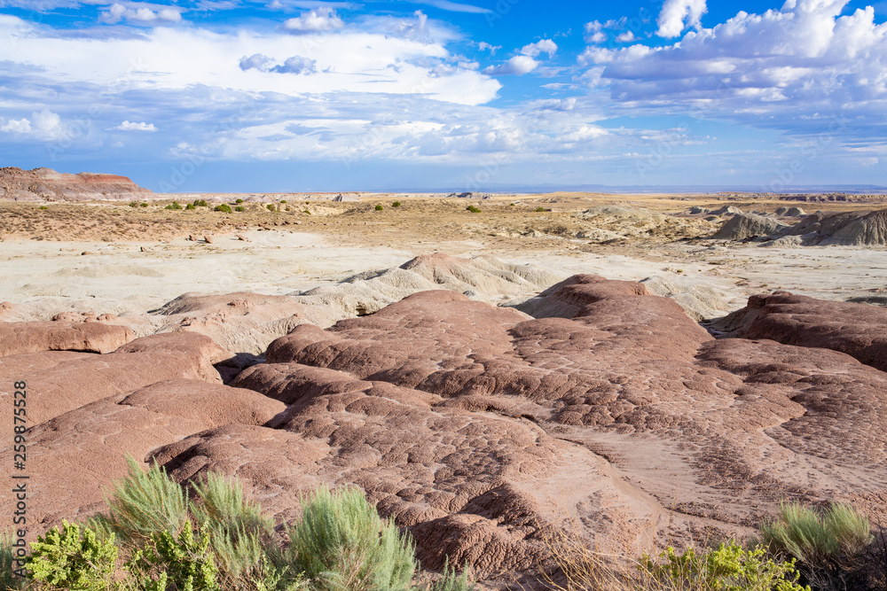 Petrified Forest National Park in Arizona, USA