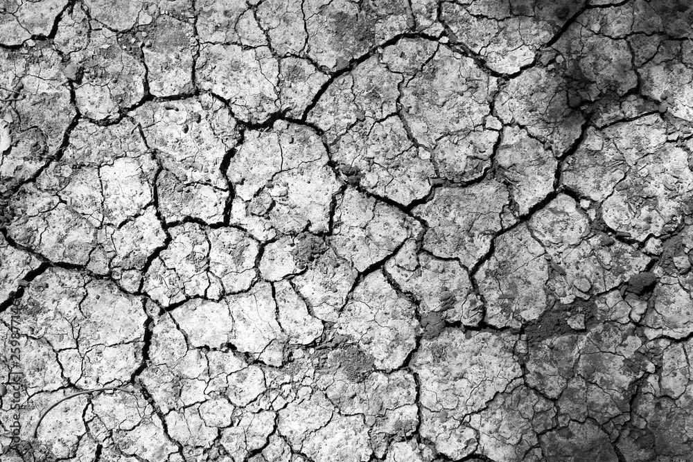 Dry soil Dry soil