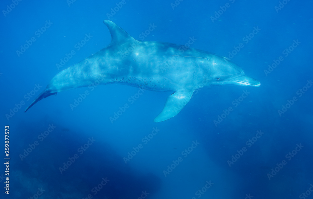 Fototapeta premium MAYOTTE 16