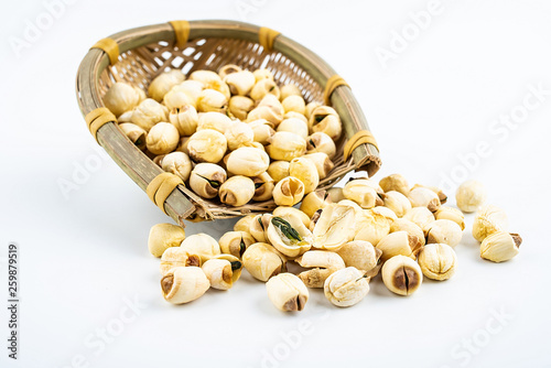 Bamboo seedlings of white lotus seeds on white background photo