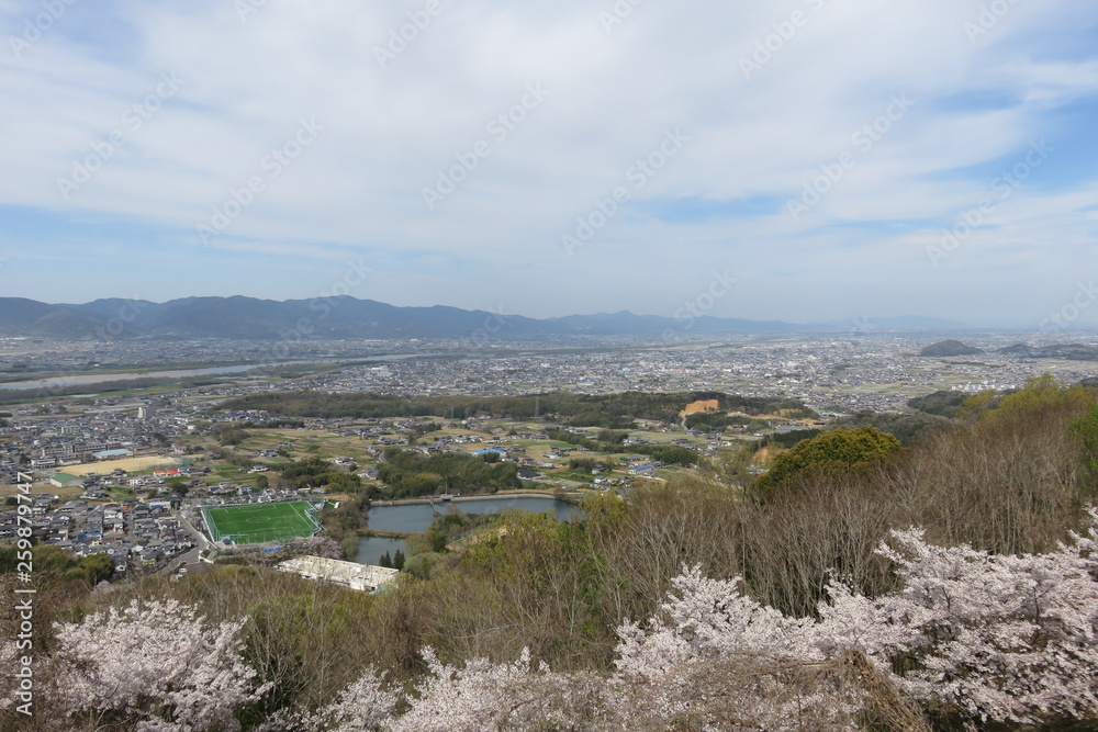 山から見る桜と町の風景
