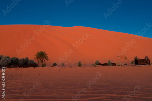 sand dunes in the desert Erg Chebbi morocco