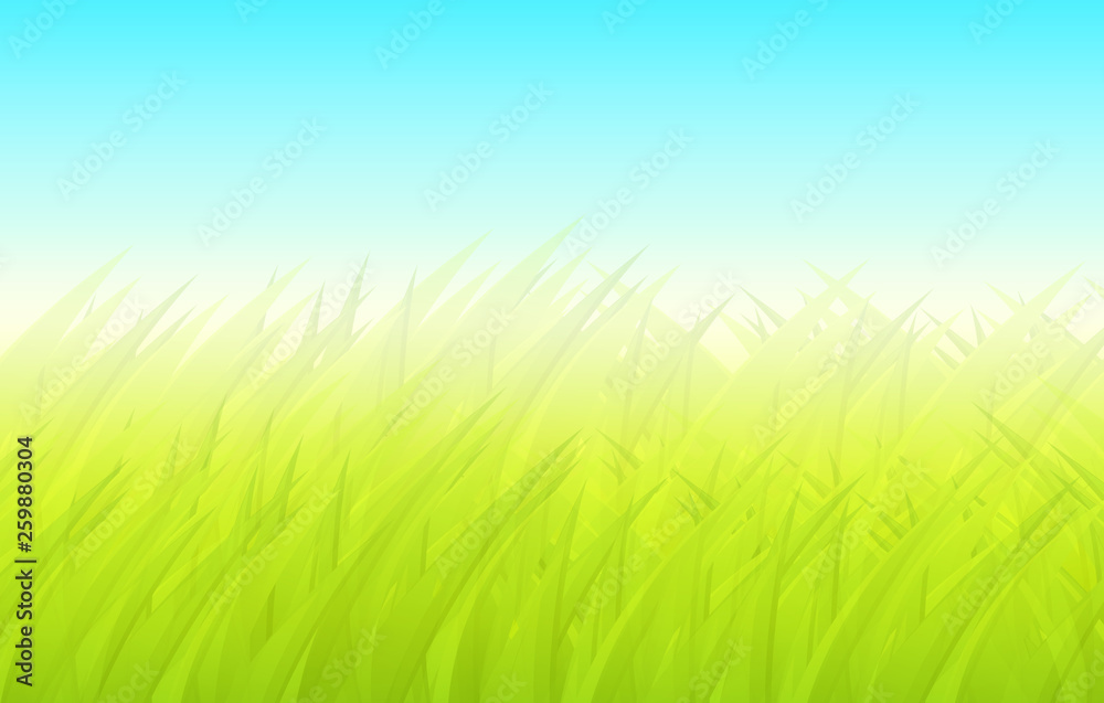 Spring background, green blurry grass