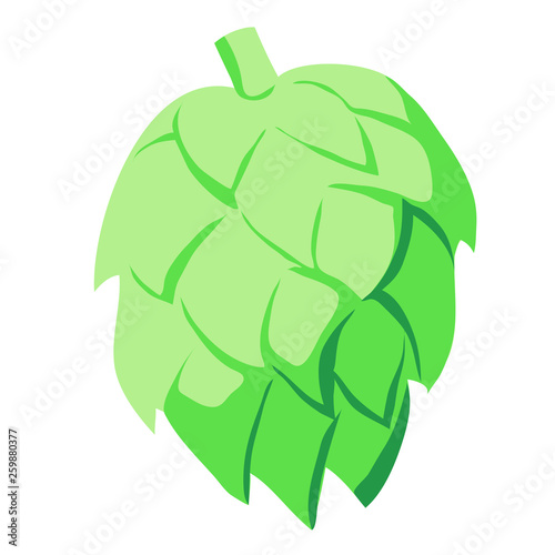 Green hop cone 