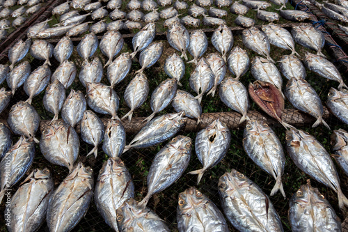salted dry fish on Netting