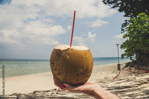 Hand of black woman holding coconut photo