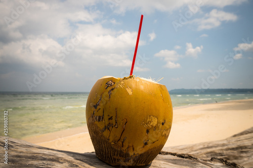 Coconut at the beach photo