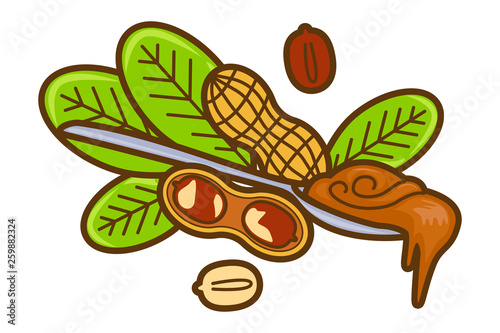 Spoon of Peanut butter vector icon. Cartoon illustration of peanut icon for web design. Nuts emblems and labels isoleted on white backgraund