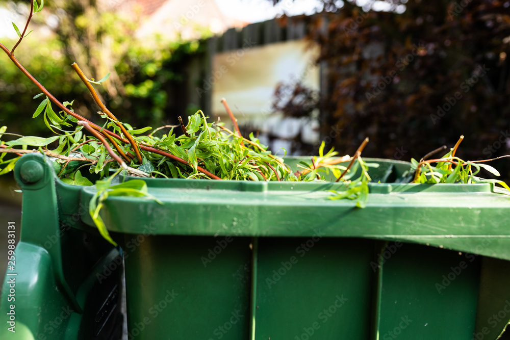 Green wheelie bin / garden waste container filled with fruit and