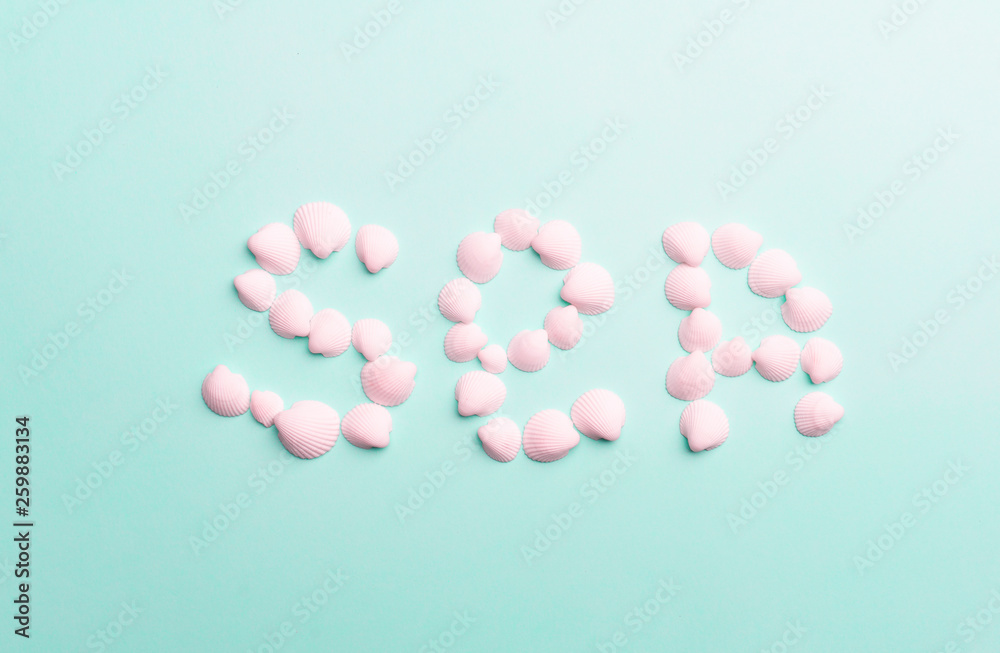 Summer composition with white seashells on the bright pastel green background