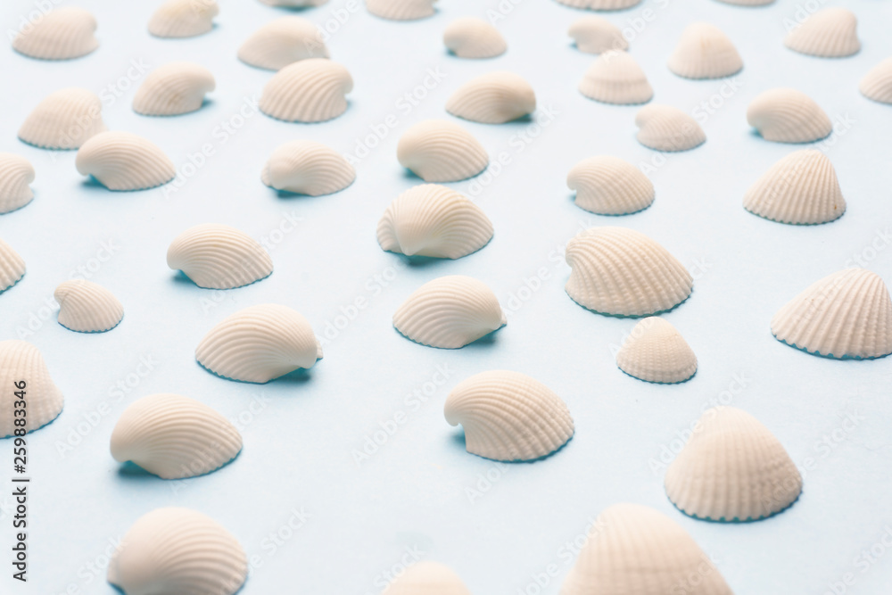 Summer composition with white seashells on the bright blue background