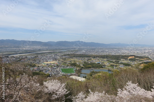 山から見る桜と町の風景