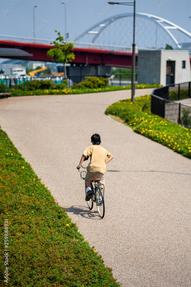 登りで自転車を漕ぐ少年 登りで自転車を漕ぐ少年