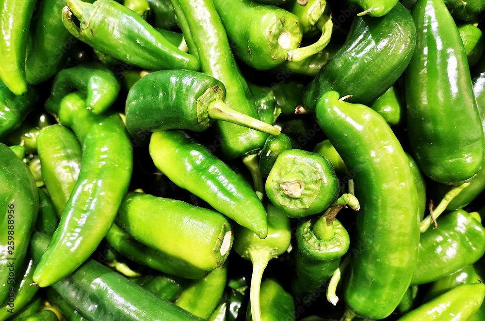 Fresh Green Hot Chilli Stock Photo Fresh Green Hot Chilli Stock Photo