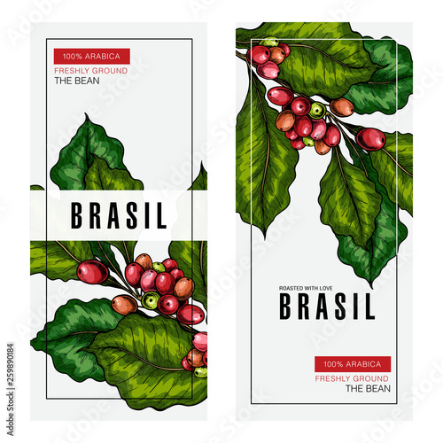 Coffee set. Hand drawn coffee branch. Vector colored engraved icon. Packaging design in brutal style. Label template, brand identity, coffee shop, restaurant or cafe menu. Trendy barista branding.
