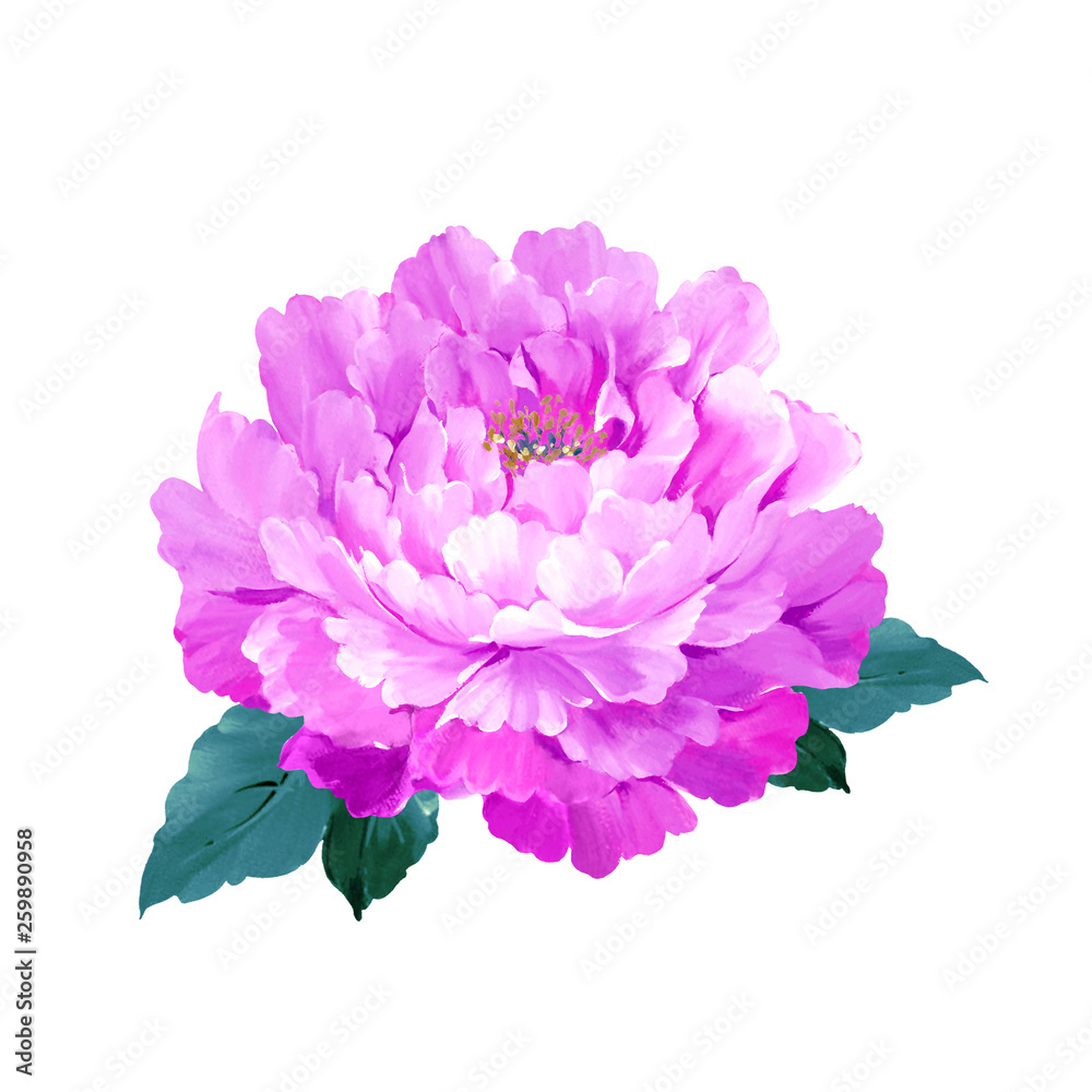Beautiful hand drawn colorful flower Beautiful hand drawn colorful flower