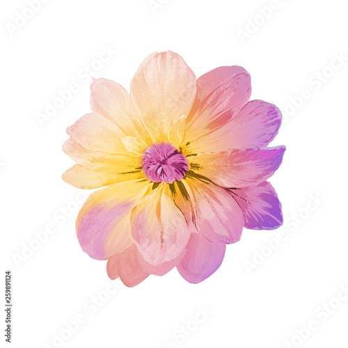 Beautiful hand drawn colorful flower